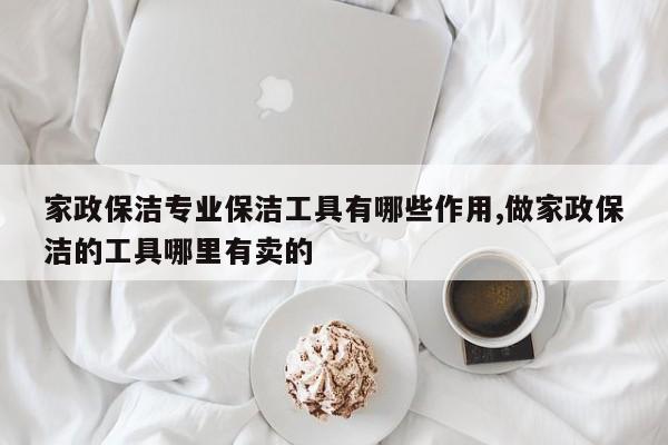 家政保洁专业保洁工具有哪些作用,做家政保洁的工具哪里有卖的