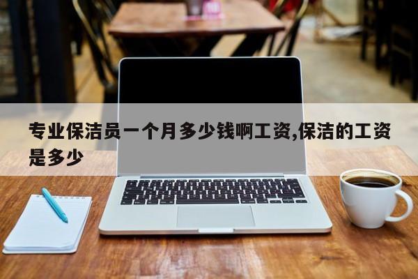 专业保洁员一个月多少钱啊工资,保洁的工资是多少