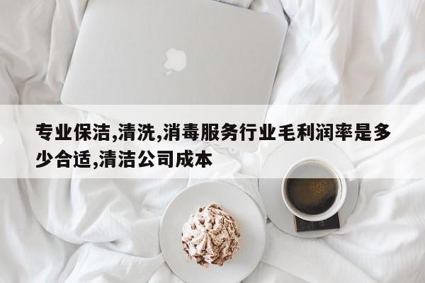 专业保洁,清洗,消毒服务行业毛利润率是多少合适,清洁公司成本