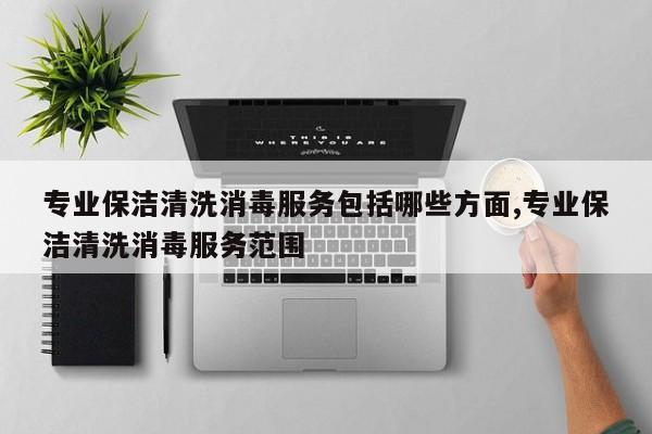 专业保洁清洗消毒服务包括哪些方面,专业保洁清洗消毒服务范围