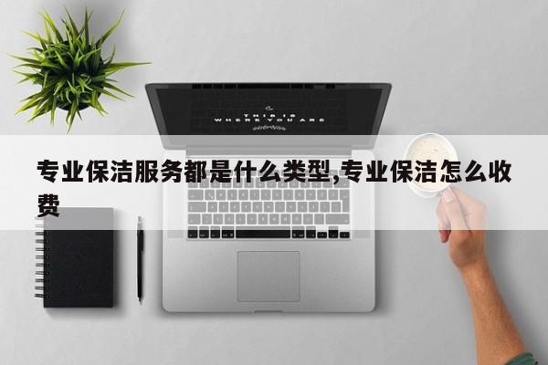 专业保洁服务都是什么类型,专业保洁怎么收费