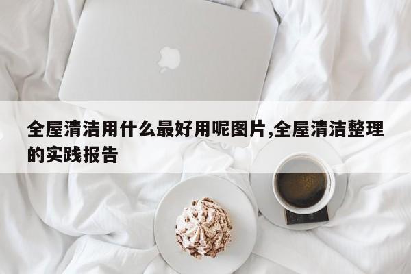 全屋清洁用什么最好用呢图片,全屋清洁整理的实践报告