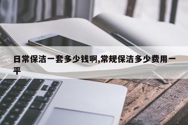 日常保洁一套多少钱啊,常规保洁多少费用一平