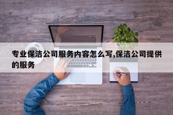 专业保洁公司服务内容怎么写,保洁公司提供的服务