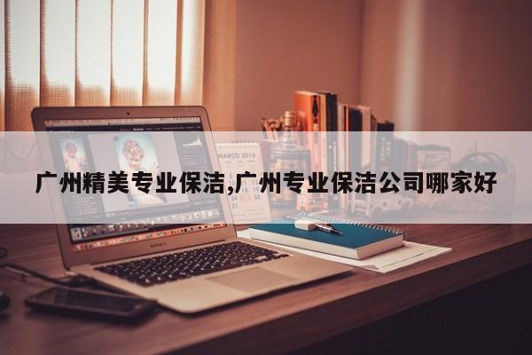 广州精美专业保洁,广州专业保洁公司哪家好
