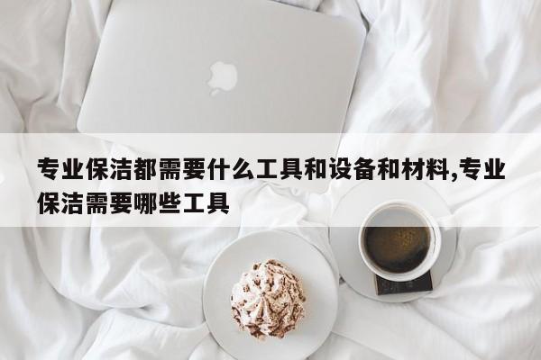 专业保洁都需要什么工具和设备和材料,专业保洁需要哪些工具