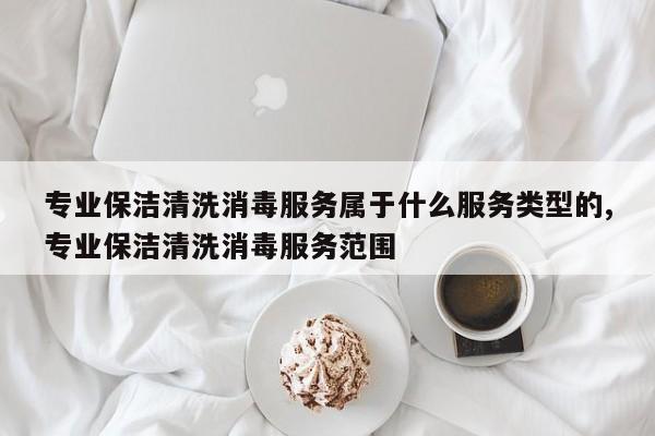 专业保洁清洗消毒服务属于什么服务类型的,专业保洁清洗消毒服务范围