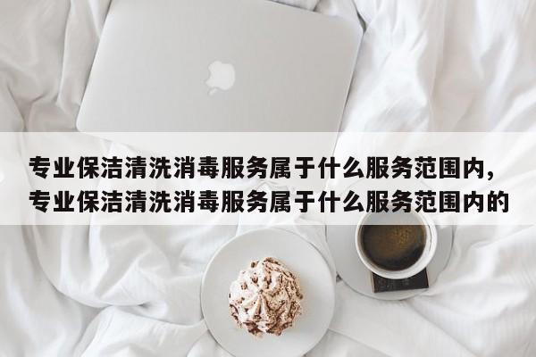 专业保洁清洗消毒服务属于什么服务范围内,专业保洁清洗消毒服务属于什么服务范围内的